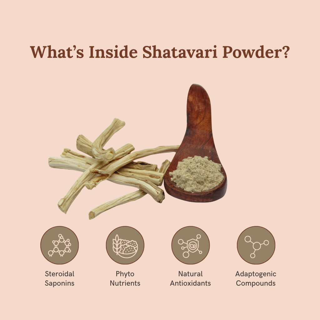 Shatavari Powder